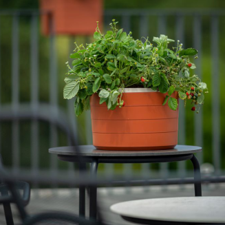 Donica samo-nawadniająca okrągła Urbalive Berberis cynamonowy 30 cm - 4