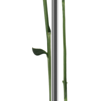 Miarka deszczu na statywie Eva Solo - 3