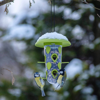 PLASTIA ROBIN Karmnik i poidełko dla ptaków 3 w 1 zielony - 6