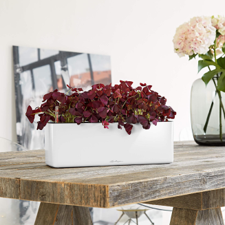  Lechuza Cube Glossy Triple flowerpot, white gloss - 4