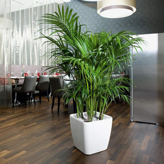 Donica Lechuza Quadro Premium LS 21 | 28 | 35 | 43 | 50 srebrny metallic - 11