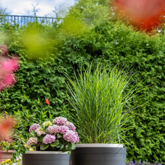 PLASTIA BERBERIS Donica samonawadniająca okrągła 46 cm szaro-brązowy - 5