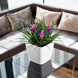  Lechuza Quadro Premium LS 21 flowerpot | 28 | 35 | 43 | 50 white gloss - 9