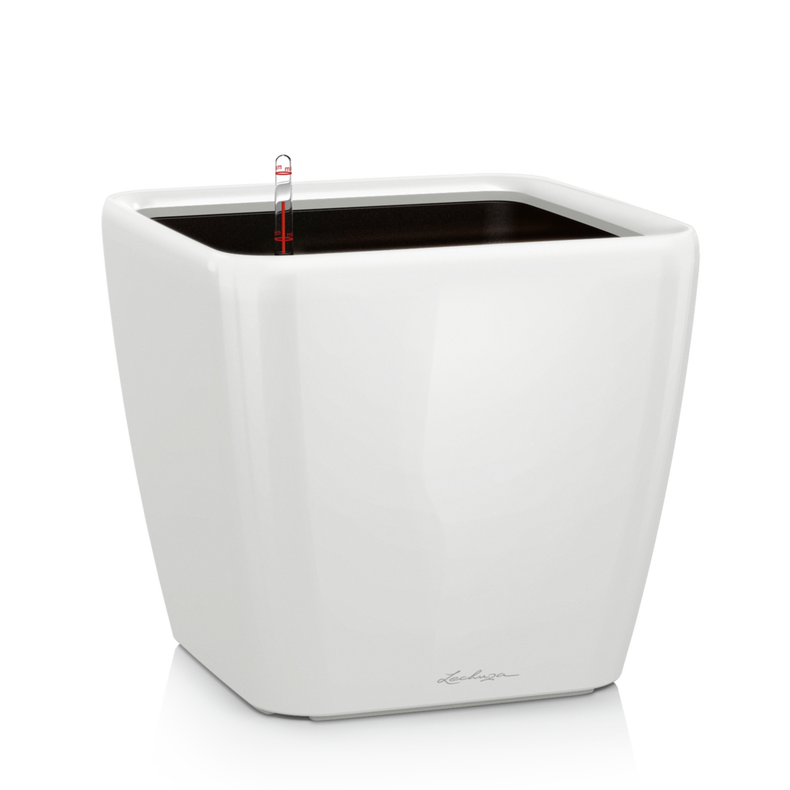  Lechuza Quadro Premium LS 21 flowerpot | 28 | 35 | 43 | 50 white gloss