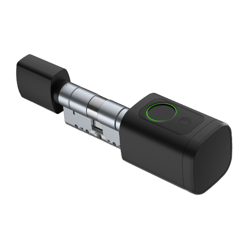  AVATTO SDL-V1-B80 smart lock insert 80mm (black)