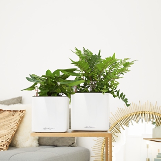  Lechuza Cube Glossy 14 herb pot | 16 white gloss - 4