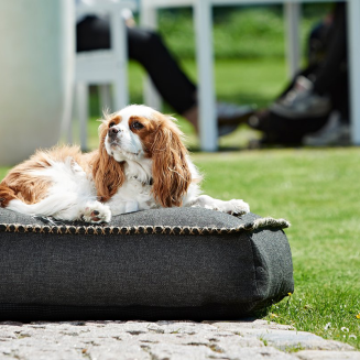 SACKit Dog bed Medium Black - 2