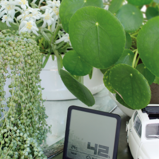 Higrometr Stadler Form Selina czarny | RABAT Z KODEM: STADLER10 - 5