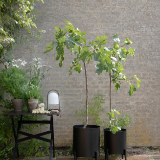  Eva Solo Simply Grow Plant Pot Small - 4