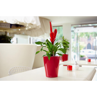  Lechuza Mini Deltini planter, red gloss - 3
