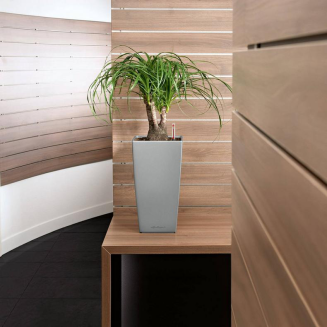 Lechuza Cubico Premium 22 flowerpot | 30 | 40 | 50 red gloss - 11