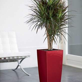 Lechuza Cubico Premium 22 flowerpot | 30 | 40 | 50 red gloss - 9