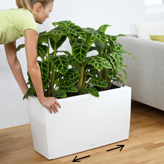  Lechuza Cararo Premium flowerpot, white gloss - 4
