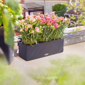 Donica Lechuza Balconissima 40 z uchwytem szary łupek - 13