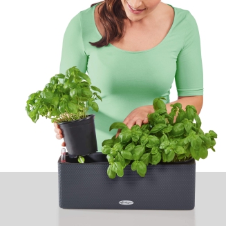  Lechuza Balconissima 40 plant pot with handle, gray slate - 8