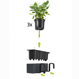  Lechuza Balconissima 40 plant pot with handle, gray slate - 5