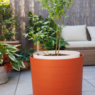 Duża donica samo-nawadniająca okrągła Urbalive Berberis cynamonowy 46 cm - 2