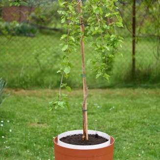 Duża donica samo-nawadniająca okrągła Urbalive Berberis cynamonowy 46 cm - 3