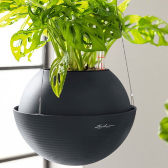 Lechuza Bola Color 32 gray suspended planter - 4