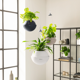 Lechuza Bola Color 32 gray suspended planter - 6