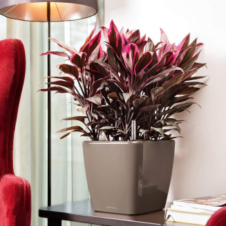 Donica Lechuza Quadro Premium LS 21 | 28 | 35 | 43 | 50 taupe połysk - 9