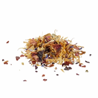 Filtr do herbaty Gefu SAVORO - 5