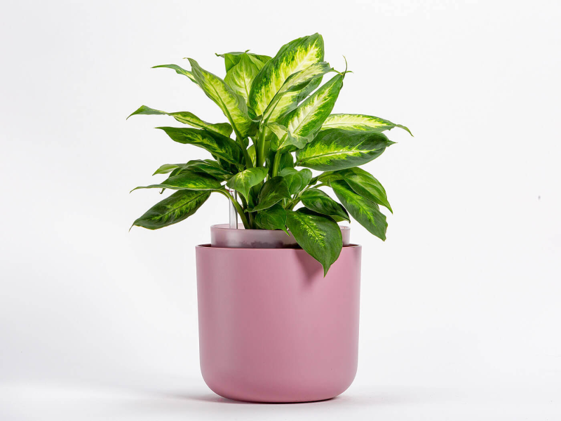 PLASTIA TOLITA Donica samonawadniająca okrągła 19 cm różowy