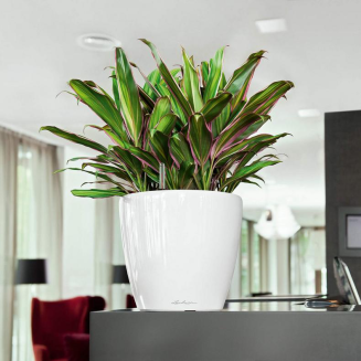 Donica Lechuza Classico Premium LS 21 | 28 | 35 | 43 | 50 srebrny metallic - 11