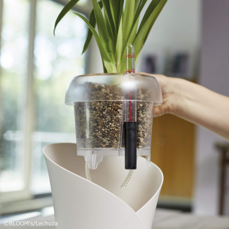 Lechuza Orchidpon substrate 6l - 4