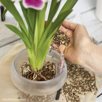 Substrat Lechuza Orchidpon 6l - 3