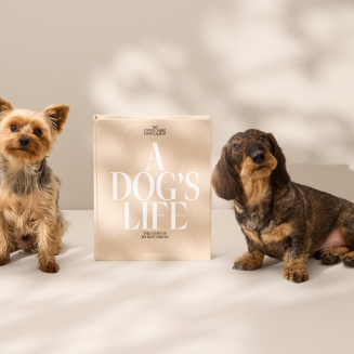 PRINTWORKS | Album dla psa - A Dog's Life XL - 9