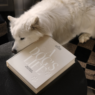 PRINTWORKS | Album dla psa - A Dog's Life XL - 6