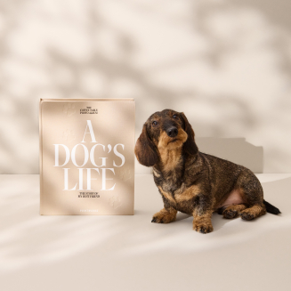 Fotoalbum - A Dog's Life XL | PRINTWORKS - 8