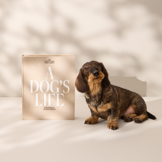 PRINTWORKS | Album dla psa - A Dog's Life XL - 8