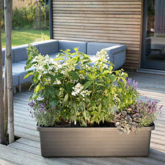 PLASTIA BERBERIS TRIO Donica samonawadniająca 117x39 cm szary - 3