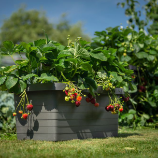 Donica samo-nawadniająca Urbalive Berberis Trio szary 117x39 cm - 2