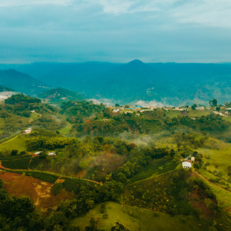 Kawa ziarnista Independent Alliance for Better Coffee Columbia Dulima Snow Queen - 3