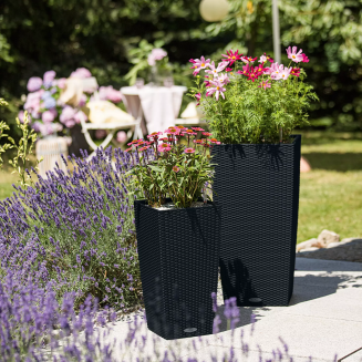  Lechuza Cubico Cottage 30 planter | 40 graphite black - 8