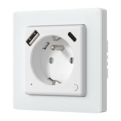  Avatto WOT20-FR Smart Socket