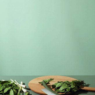  Eva Solo Green Tools Herb Knife - 3