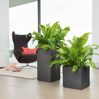  Lechuza Canto Stone flowerpot 40 column, graphite black - 6