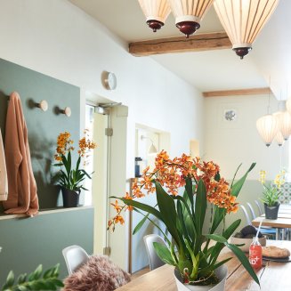 Doniczka na storczyki Lechuza Orchidea Color biała - 5