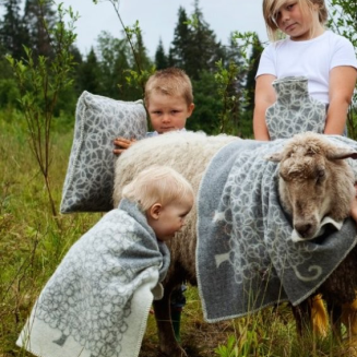 Termofor Lapuan Kankurit Lammas grey-white 2l - 4