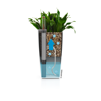  Lechuza Mini Cubi flowerpot | Maxi Cubi red gloss - 5
