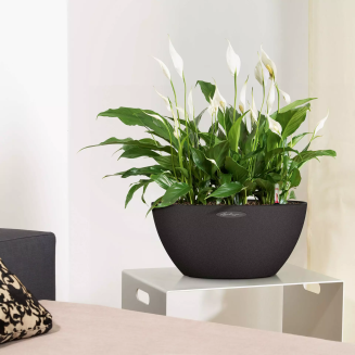  Lechuza Cubeto Stone flowerpot 30 graphite black - 6
