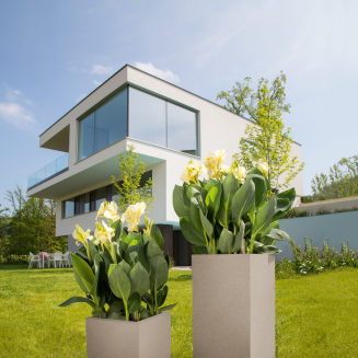 Donica Lechuza Canto Stone 30 kolumna biały kwarcowy - 9