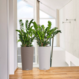  Lechuza flowerpot Cilindro Cottage 23 | 32 graphite black - 4