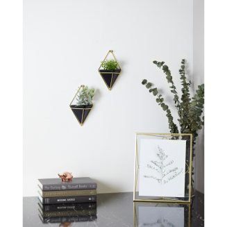 Doniczka ścienna Umbra Trigg Black-Brass Small 2 szt. - 13