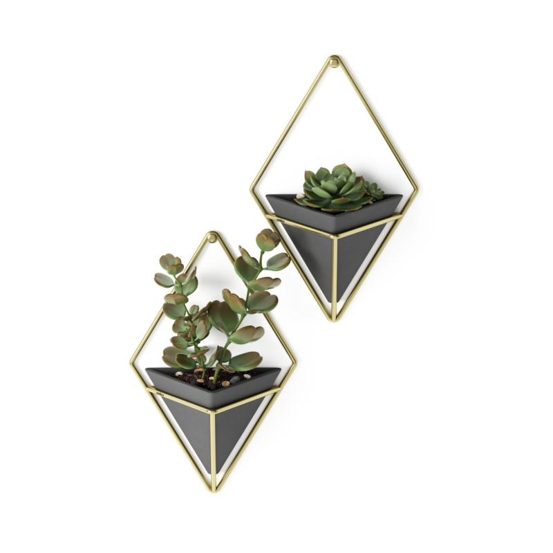 Doniczka ścienna Umbra Trigg Black-Brass Small 2 szt. | SZYBKA WYSYŁKA 24H