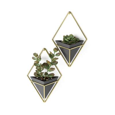 Doniczka ścienna Umbra Trigg Black-Brass Small 2 szt. | SZYBKA WYSYŁKA 24H